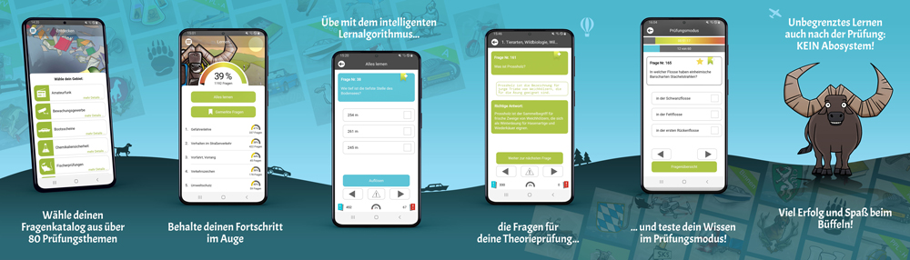 Büffeln One Lern-App